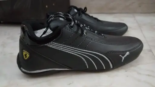 Puma