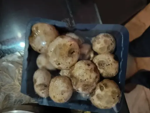 mushroom